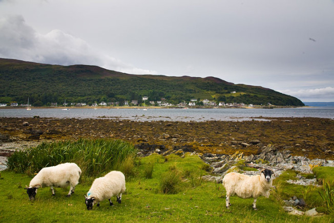 isle of arran skotsko scotland 52 Isle of Arran, Skotsko